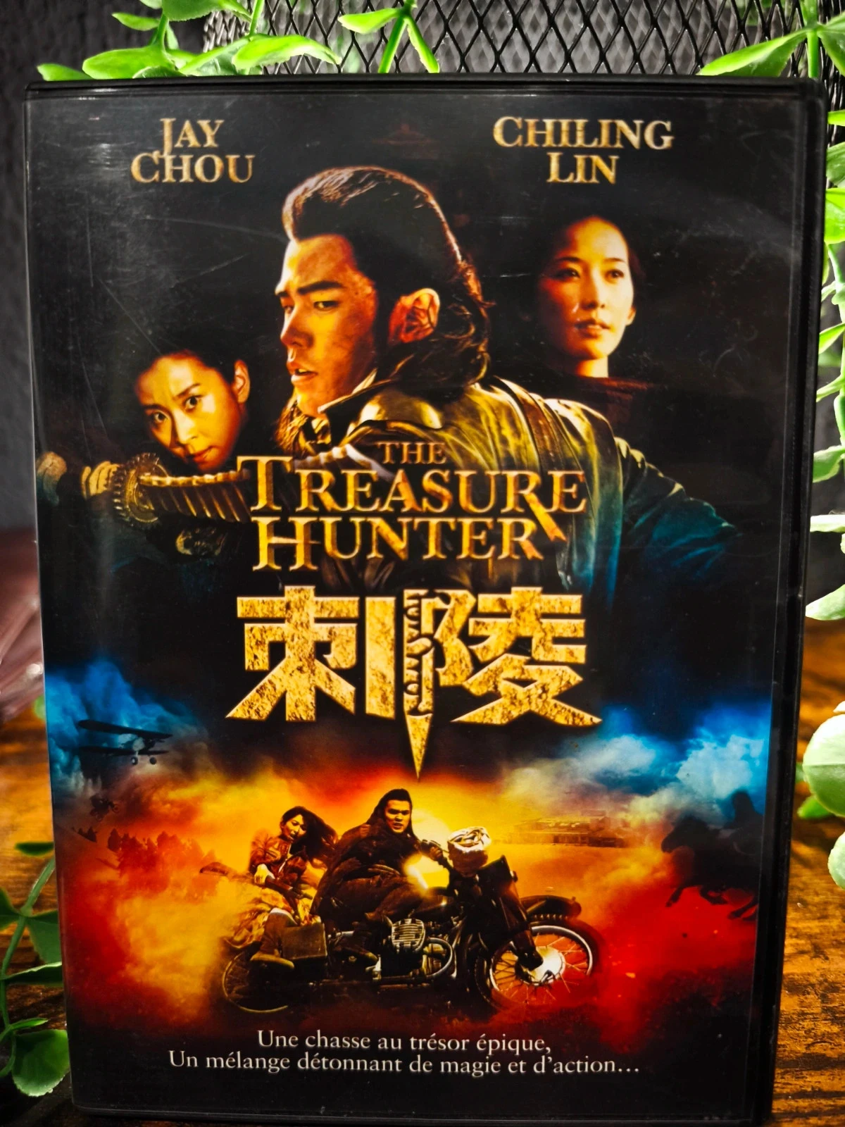 The treasure hunter